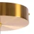 Lampa wisząca CIRCLE 40+60 LED mosiądz na 1 podsufitce - ST-8848-40+60 brass - Step Into Design